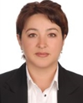 Deniz YAZGAN